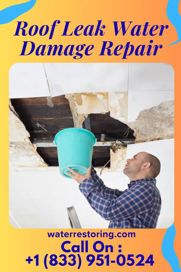 Roof Leak Water Damage Repair in Knox, ND